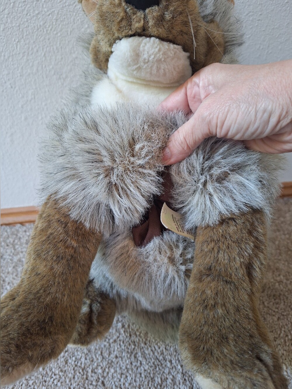 Folkmanis Coyote - Large Full Body Plush 18" Tall Hand Puppet Woodlands Play - Picture 4 of 6